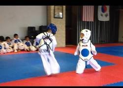 Enlace a La pelea de Taekwondo más adorable vista hasta la fecha