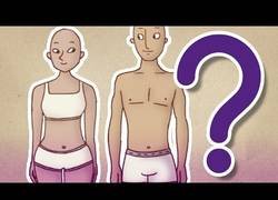 Enlace a ¿Somos iguales mujeres y hombres?