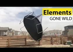 Enlace a Cuando la naturaleza se vuelve incontrolable