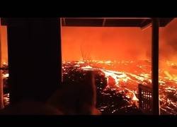 Enlace a Vivir en Hawaii ahora es un infierno total