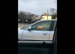 Enlace a A veces es mejor no despertar a alguien de su siesta