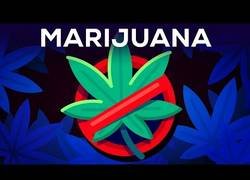 Enlace a Tres argumentos por los que la marihuana debería seguir siendo ilegal
