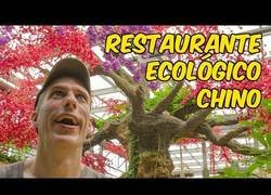 Enlace a Jabiertzo nos habla sobre el megarrestaurante ecológico situado en China
