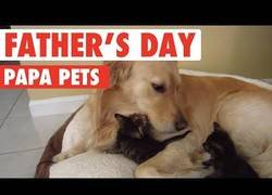 Enlace a Papás de animales tan adorables que te enamoran al instante