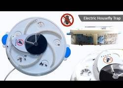 Enlace a La inquietante máquina para atrapar moscas de forma fulminante