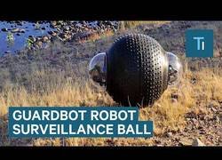 Enlace a Crean un robot capaz de desplazarse por cualquier terreno