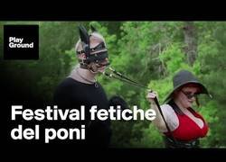 Enlace a ¿Eres fetichista de los ponis? Este es tu festival en Nueva Orleans
