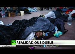 Enlace a Los juicios que sufren los inmigrantes