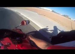 Enlace a ¿Vas a coger el bus?