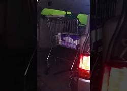 Enlace a Si no tienes bolsas para la compra... Esta es tu solución