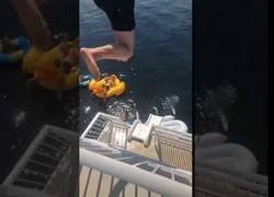 Enlace a Trata de saltar desde su barco al agua y nada sale como esperaba