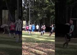 Enlace a Así es el funcionamiento del VAR en el fútbol amateur