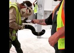 Enlace a La genial forma de trolear a un soldador mientras hace su trabajo