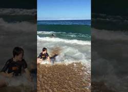 Enlace a ¡¡¡Ola va!!!