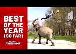 Enlace a Los mejores vídeos en lo que llevamos de este maravilloso 2018