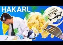 Enlace a Probando hakarl