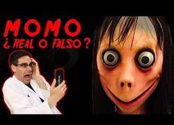 Enlace a ¿Momo es real?