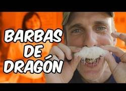 Enlace a Probando dulces tradicionales de China