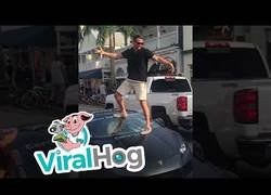 Enlace a Quiso hacerse una foto con su coche de lujo y se arrepentirá toda la vida de lo que pasó