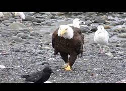 Enlace a Cuando entras a la habitación de tu hermano a cogerle el cargador del móvil