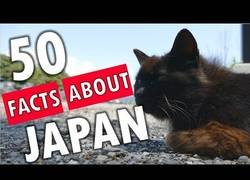 Enlace a 50 cosas de Japón que le hacen ser un país muy especial