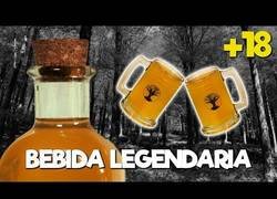 Enlace a ℗ Hidromiel casera