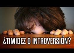 Enlace a La diferencia entre ser timidez y la introversión