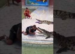 Enlace a El show que casi termina en tragedia