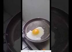 Enlace a Unos polémicos huevos de plástico llegan directos desde Brasil con un gran peligro