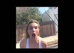 Enlace a Pierde el coche haciendo el Kiki Challenge