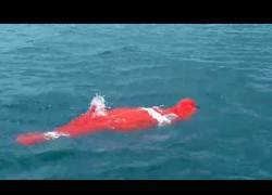 Enlace a Este tipo de 64 años ha batido el récord del Mundo nadando 3380 metros metido en una bolsa