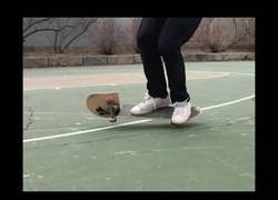 Enlace a Matt Tomasello lleva las habilidades del monopatín a un nuevo nivel