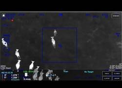 Enlace a Unas vacas ayudan a la policía a detener a un sospechoso que huía por el campo