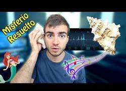Enlace a Jaime Altozano nos explica el misterio de escuchar el mar en una caracola