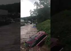 Enlace a La madre naturaleza se ha cansado de los SUV