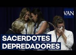 Enlace a Los depredadores salen a la luz