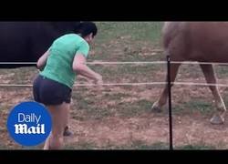 Enlace a Esta mujer se hace pis en los pantalones tras tocar una valla electrificada