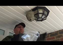 Enlace a El eficaz método de este tipo para terminar con un panal de abejas