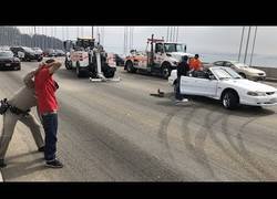 Enlace a Tres mustangs forman el caos deteniendo todo el tráfico en el puente de Oakland-San Francisco para hacer derrapes