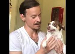 Enlace a Este perrito siente una sensación muy rara con tanto amor