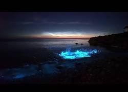 Enlace a Plancton bioluminiscente en las costas de Gales