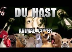 Enlace a La mejor versión de du hast