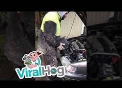 Enlace a Si te quedas sin batería y no tienes cables, puedes hacer esto (con muchísimo cuidado si tienes estima a tus manitas)