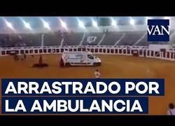 Enlace a La fiesta nacional