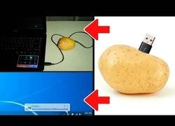 Enlace a Datos curiosos que no te enseñaron en la escuela