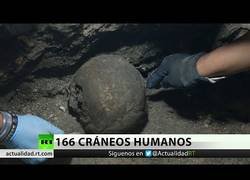 Enlace a Hallan 166 cráneos humanos en fosas comunes en Veracruz