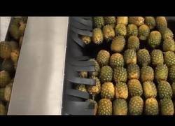 Enlace a Como se hace el zumo de piña