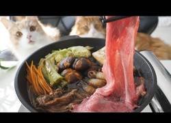 Enlace a Cocinando sukiyaki (Tofu casero) ante la atenta mirada de sus gatos