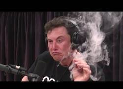 Enlace a La polémica entrevista de Elon Musk mientras fumaba maría