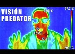 Enlace a Cómo se ve tu vida con cámara térmica